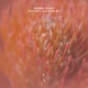 Echoes Galore EP