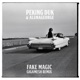 Fake Magic Gigamesh Remix Single