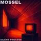 Silent Process Single