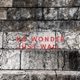 No wonder just wall feat Aenna Single