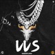 VVS Single