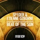Beat of the Sun Single