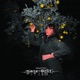 Transmutation Single