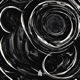 Radical Diffusion EP