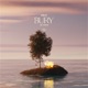 Bury Single