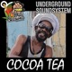 Tonight Real Rock Riddim feat Cocoa Tea Dubplate Single