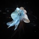 Satellite Single