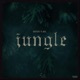 Jungle feat Jba00 Single
