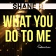 What You Do to Me feat Andrea Love Single