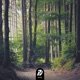 Breathing Trees Single