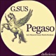Pegaso Single