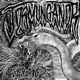 Jǫrmungandr Single