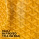 Yellow Bag Single