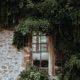 Greenery Single