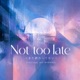 Not too late まだ終わってない feat NAGI Single