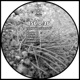BSC 0 36 EP