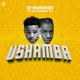 Ushamba feat Platform Single