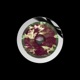 Centera Single