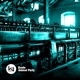 Animal Party Single