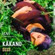 Kākano Seed Single