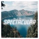 Spectacular radio edit Single