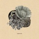 Meditative State Single