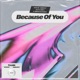 Because of You Single