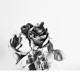 Rosemary s Interlude Single