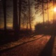 When Paths Cross Single