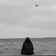 khyali feat Ollf Single