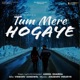 Tum Mere Hogaye Single