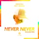 Never Never Extended Mix feat Indiiana Single