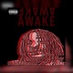AWAKE Single
