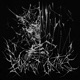 Blackout Curtains Single