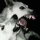 If God Were To Die Single