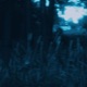 falling rays slowed speed up Single