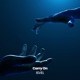 Carry On Single