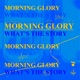 Morning Glory Single