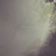 Wilderness
