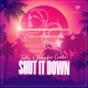 Shut It Down Single