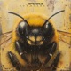 Bumblebeez Single
