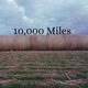 10 000 Miles Single