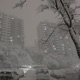 Winter Cold Single