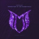Expedition to the RabbitHole Single