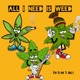 All I Need Is Weed feat Gilly Radio Edit Single