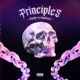 Principles Single