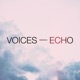 Voices Echo Single