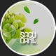 Funky Groove Single