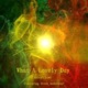 What a Lovely Day feat Steve Anderson Single