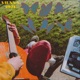 Vienna 1971 Single